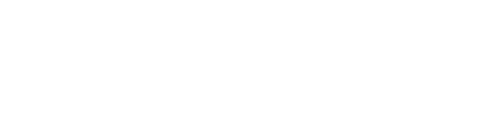 Jetset Logo